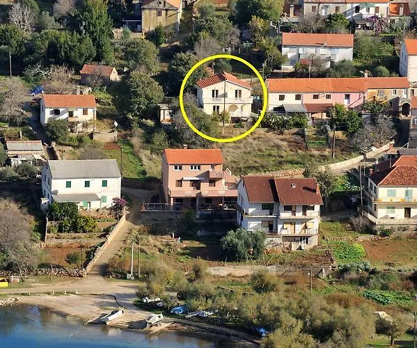 Slavica *